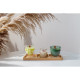 Менажница Magistro Tropical, 3 секции, 30×10×1.8 см, каучуковое дерево