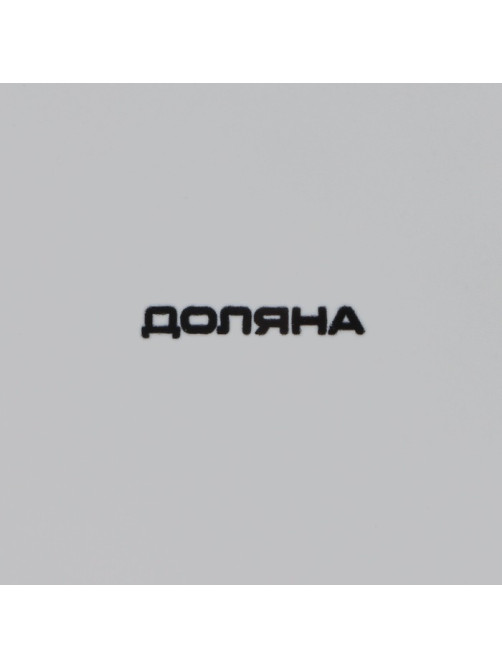 Блюдо сервировочное Доляна «Панда», 20×16 см