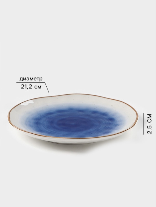 Тарелка Доляна «Космос», d=21.2 см, фарфор, белая, синяя