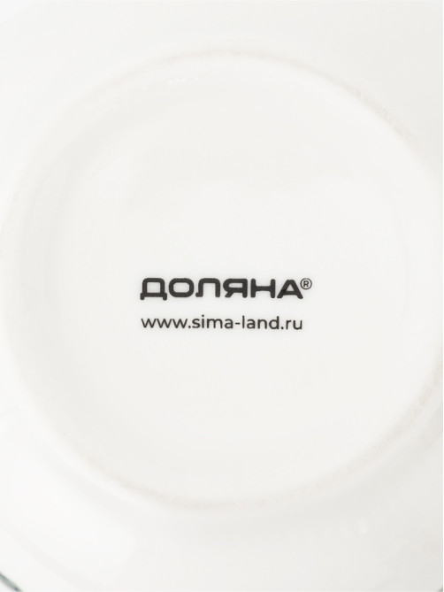 Молочник фарфоровый Доляна «Зелёный сад», 300 мл, 11.5×8×8 см
