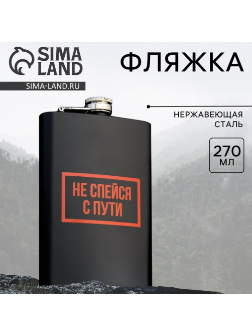 Фляжка «Не спейся», 270 мл