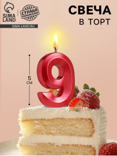 Свеча в торт на шпажке «Цифра 9», красная, 5 см