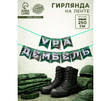Гирлянда на ленте «Дембель», длина 250 см