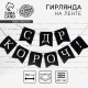 Гирлянда на ленте «С др короч!», 150 см
