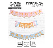 Гирлянда на ленте «Гендер пати», мальчик или девочка, длина 220 см