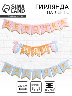 Гирлянда на ленте «Гендер пати», мальчик или девочка, длина 220 см