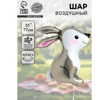 Воздушный шар фольгированный 31