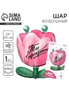 Воздушный шар фольгированный 24