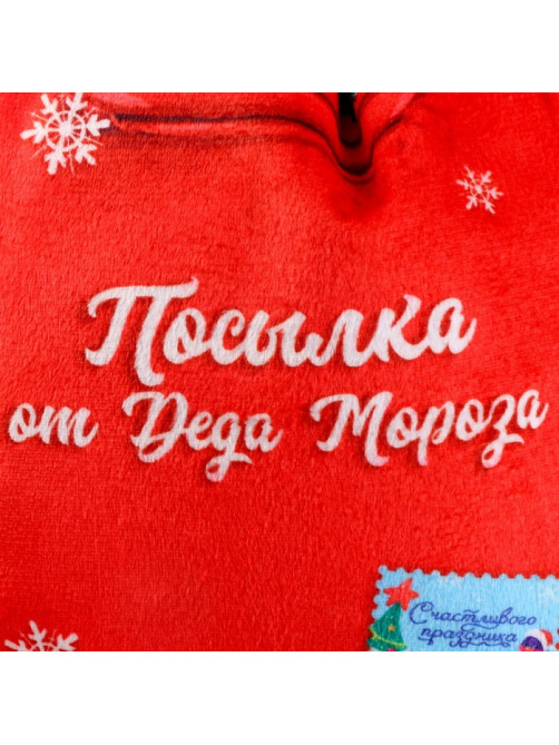 Рюкзак - мешок детский новогодний «Посылка от Деда Мороза», 35×30 см