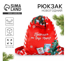 Рюкзак - мешок детский новогодний «Посылка от Деда Мороза», 35×30 см