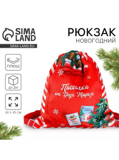 Рюкзак - мешок детский новогодний «Посылка от Деда Мороза», 35×30 см