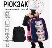 Рюкзак школьный, каркасный, 39×30×14 см «Серые котята»