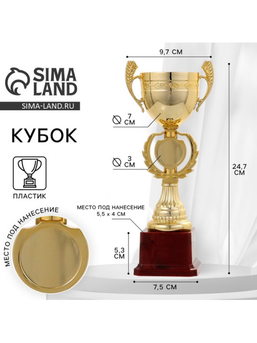Кубок 081, наградная фигура, золото, подставка пластик, 24.7×9.7×7.5 см