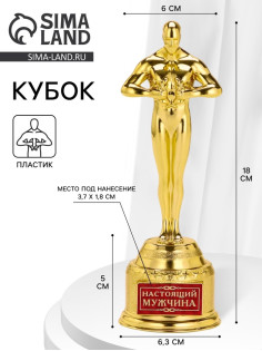 Кубок наградная фигура мужская «Настоящий мужчина», оскар, пластик, 18 см