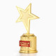 Кубок наградная фигура: звезда литая «Лучший из лучших» золото, пластик, 16 см