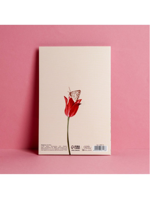 Открытка «С Днем Рождения», тиснение, 12×18 см
