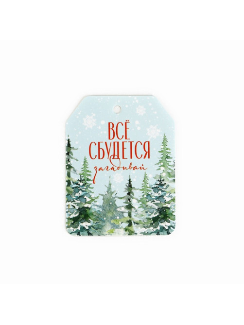 Шильдик новогодний на подарок «Верь в чудеса», набор 6 штук, 16×24 см