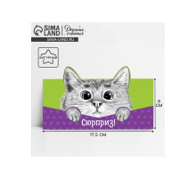 Конверт для денег фигурный «Кот», 17.5×8 см