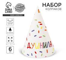 Колпак бумажный на день рождения «Душнила», набор 6 шт.