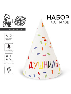 Колпак бумажный на день рождения «Душнила», набор 6 шт.