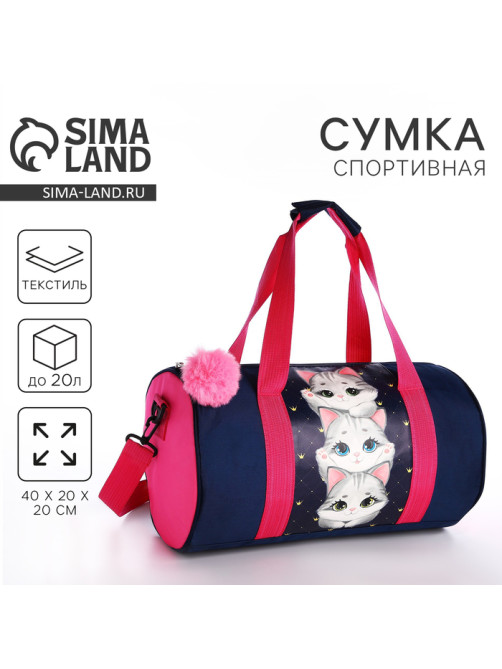 Сумка детская спортивная «Котята», 40×20×20 см, 40×20 х см, синяя, отдел на молнии