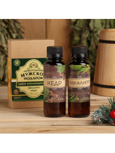 Новогодний набор ароматизаторов «Мужской подарок», кедр, эвкалипт, 2 шт. по 100 мл