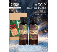 Новогодний набор ароматизаторов «Новогодняя посылочка», сосна, пихта, 2 шт. по 100 мл