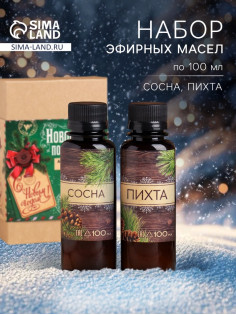 Новогодний набор ароматизаторов «Новогодняя посылочка», сосна, пихта, 2 шт. по 100 мл