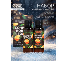 Новогодний набор ароматизаторов «Сочного Нового Года», в подарочной коробке, апельсин, кедр, 2 шт. по 100 мл