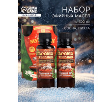 Новогодний набор эфирных масел «Лучшему мужчине», мята, пихта, лимон, можжевельник, 2 шт. по 100 мл