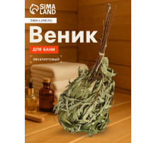 Веник для бани, эвкалиптовый, в пакете, «Добропаровъ»