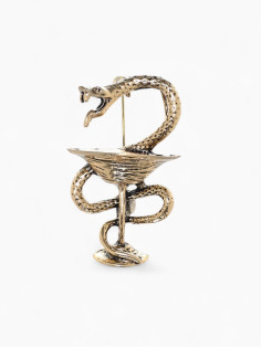 Брошь «Змея в геральдике», медицина, цвет чернёное золото