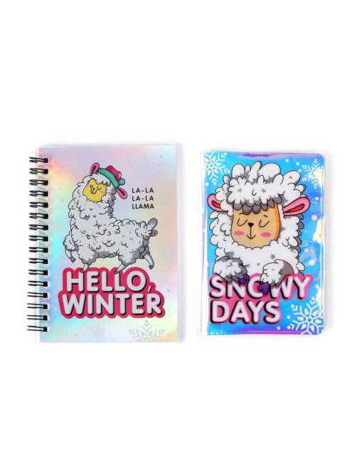 Подарочный набор новогодний, голографический блокнот и обложка на паспорт, Hello winter