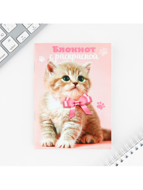 Набор блокнот А6, 32 листа, наклейки, магнитные закладки «Милый котенок»
