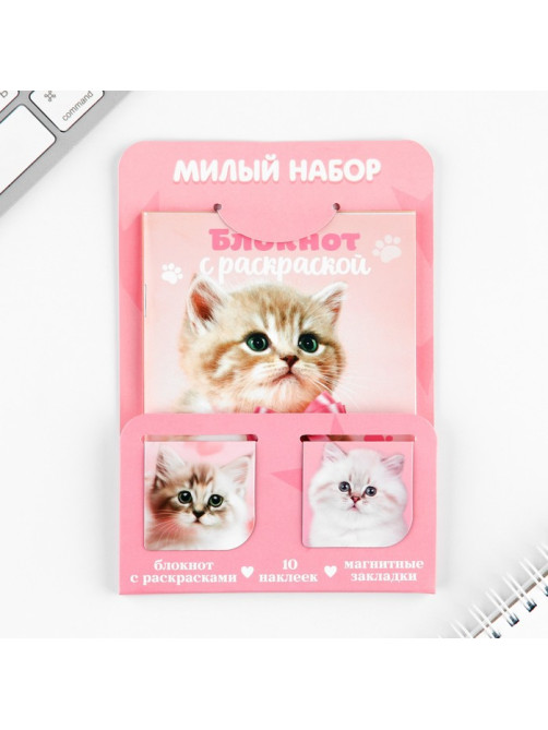 Набор блокнот А6, 32 листа, наклейки, магнитные закладки «Милый котенок»