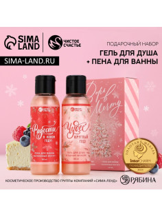 Подарочный набор новогодний женский «Верь в мечту», гель для душа, пена для ванны, 2×100 мл, Чистое счастье