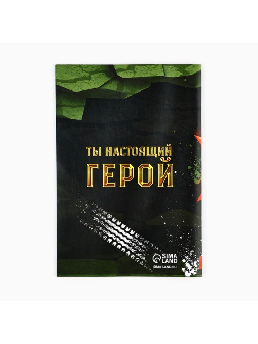 Подарочный набор, анкета для мальчиков и ручка «23 февраля»