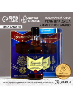 Подарочный набор «Богатства и процветания», гель для душа виски 250 мл и мыло для рук, Чистое счастье