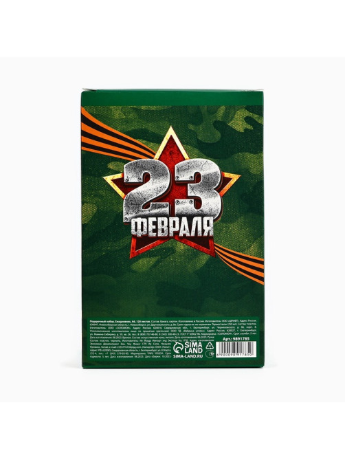 Подарочный набор: термостакан, ежедневник А6, 120 л., брелок, ручка «23 февраля»