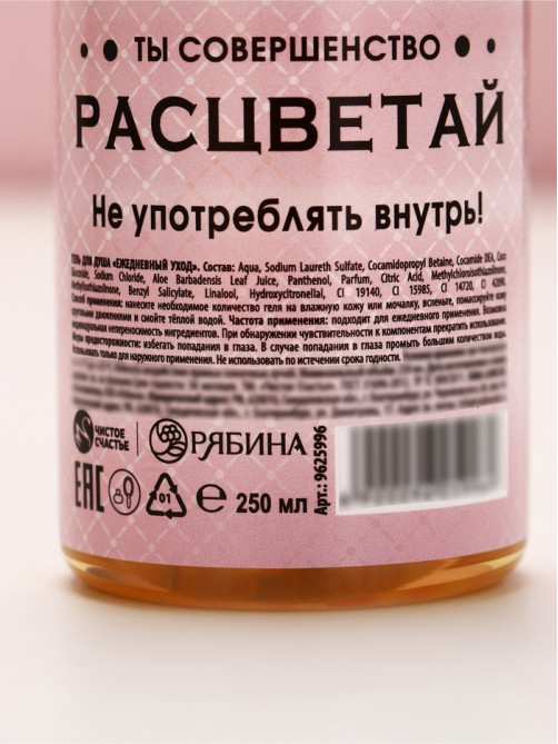 Подарочный набор «Мечтай!», гель для душа и шампунь для волос шампанское, 2×250 мл, Чистое счастье