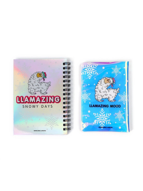 Подарочный набор новогодний, голографический блокнот и обложка на паспорт, Hello winter