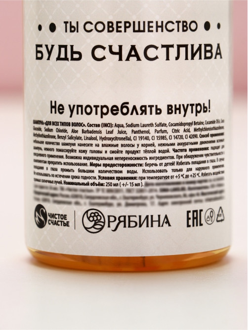 Подарочный набор «Мечтай!», гель для душа и шампунь для волос шампанское, 2×250 мл, Чистое счастье