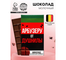 Шоколад молочный «Арбузеру от душнилы», 27 г