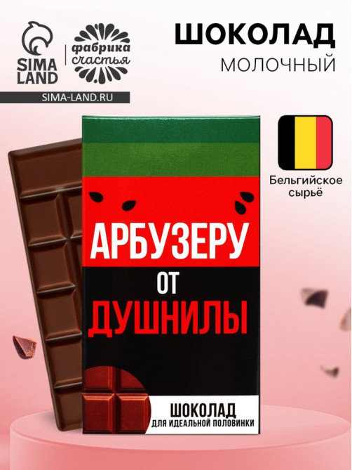 Шоколад молочный «Арбузеру от душнилы», 27 г