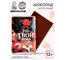 Шоколад молочный «Это твой день», 12 г