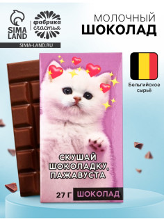 Шоколад молочный «Скушай шоколадку», 27 г