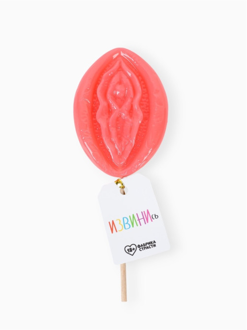 Леденец на палочке «Извинись», вкус: фруктовый, 45 г (18+)