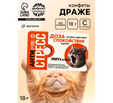 Конфеты драже освежающее с малиной «Антистресс», 18 г