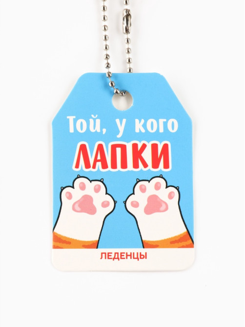 Леденцы «Той, у кого лапки» в кошельке, 40 г