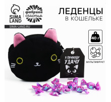 Леденцы «Приношу удачу» в кошельке, со вкусом винограда, 40 г